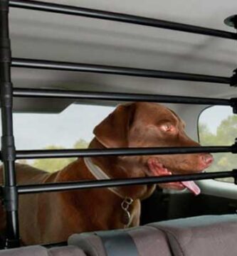 Usar la barrera para perros para automóviles
