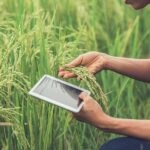 El cuaderno de campo agrícola que convierte el trabajo diario en control, trazabilidad y mejores decisiones