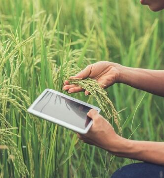 El cuaderno de campo agrícola que convierte el trabajo diario en control, trazabilidad y mejores decisiones