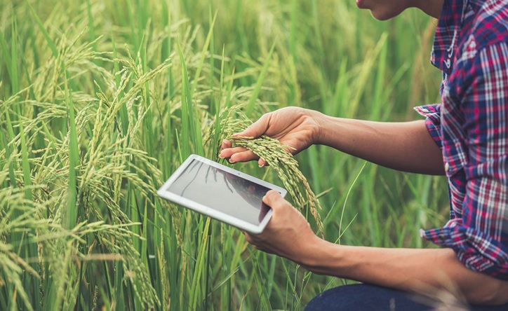 El cuaderno de campo agrícola que convierte el trabajo diario en control, trazabilidad y mejores decisiones